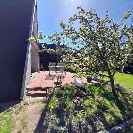 Nurdachhaus Storchennest بيت للعطل *